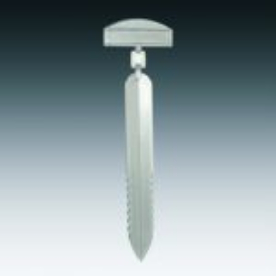 Imagem de Espeto do Sistema CG Plástico Transparente