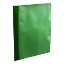 Imagem de CLASSIFICADOR C/FER. ROMA 262 PVC TRANSP. VERDE-02