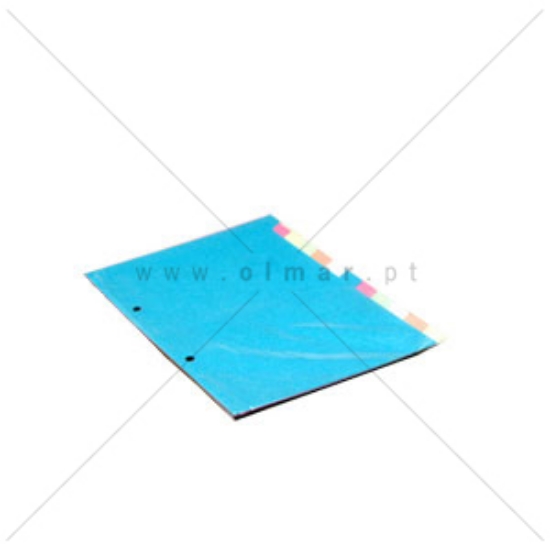 Picture of SEPARADOR CARTOLINA A5 12 POSIÇÕES PAJORY CORES