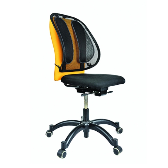 Imagem de ENCOSTO ERGONÓMICO FELLOWES MESH BACK (9191301)