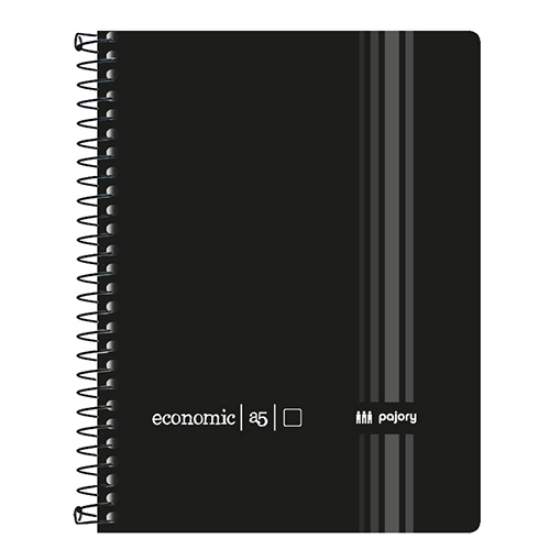 Imagem de CADERNO ESPIRAL A5 80FOLHAS PAJORY ECONOMIC LISO (53V)
