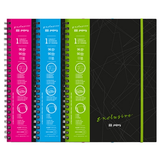 Imagem de CADERNO ESPIRAL CAPA DURA A4 96FOLHAS PAJORY "EXCLUSIVE"