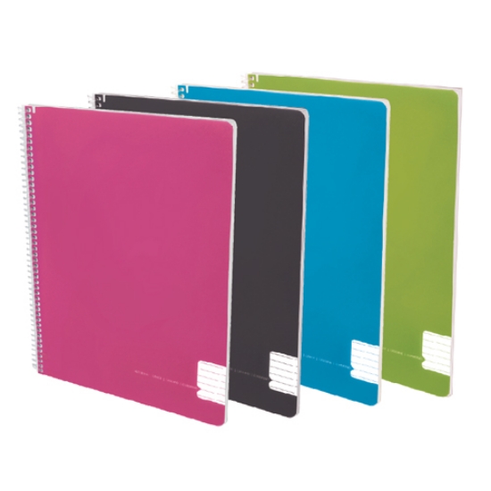 Imagem de CADERNO ESPIRAL CAPA PP A4 120FOLHAS PAJORY COLORS XADREZ