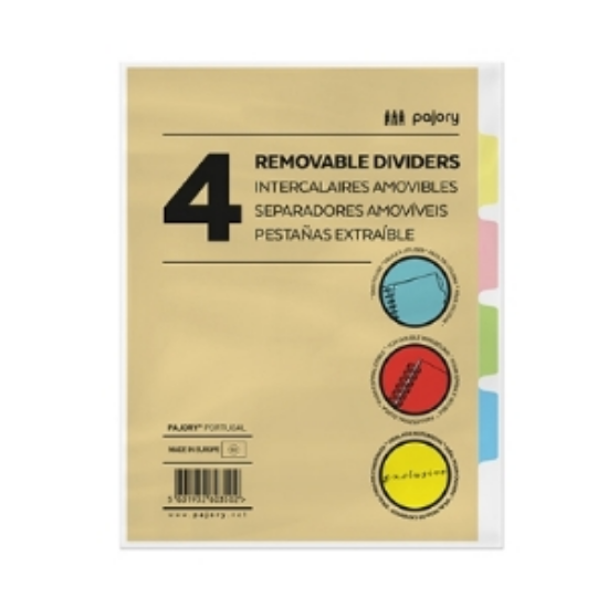 Picture of SEPARADOR PLASTICO A4 6 POSIÇOES PAJORY 14-PL (ESCOLAR)